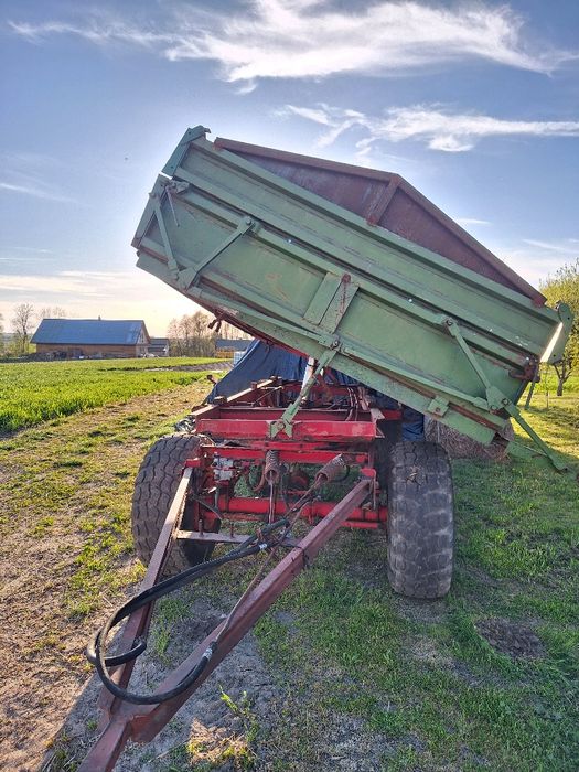 Przyczepa rolnicza Hl.6011 Brandys Autosan
