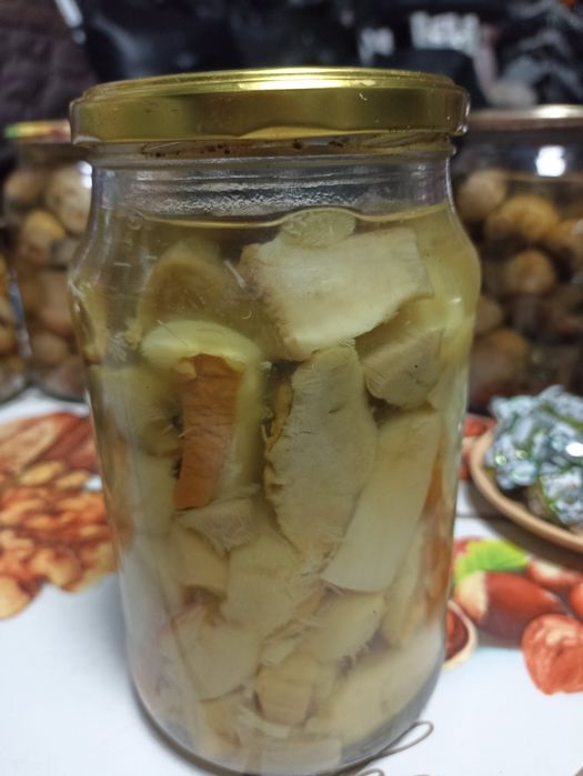 Продам різні види грибів