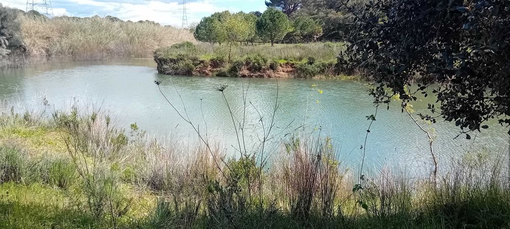 Oportunidade no Algarve! Terreno com ruina!