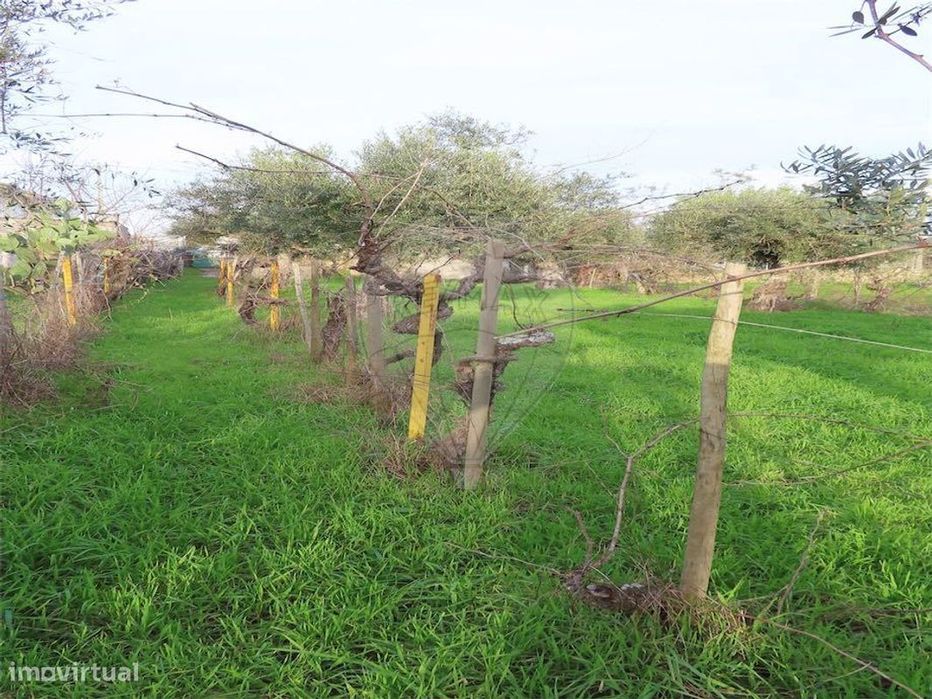 Quinta  para venda