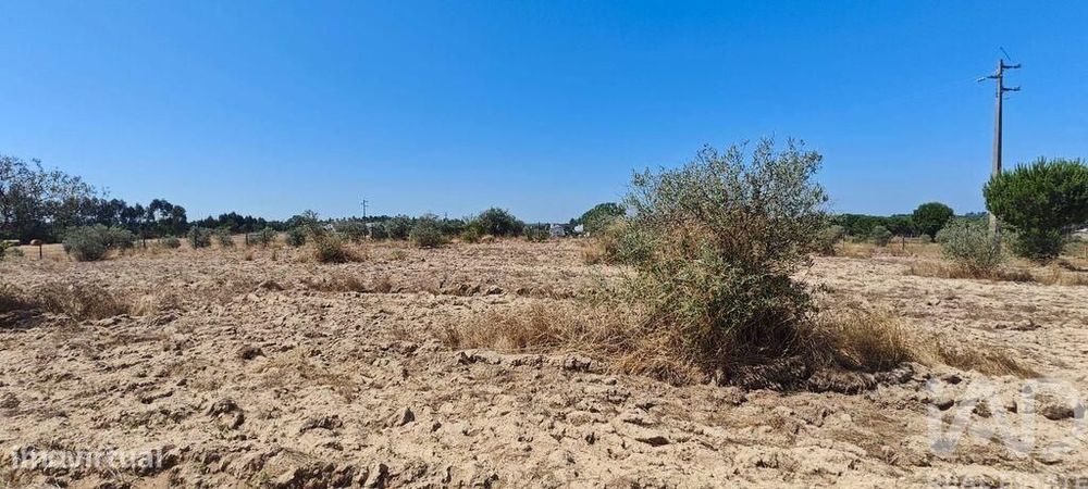 Terreno para construção em Branca de 7020,00 m2
