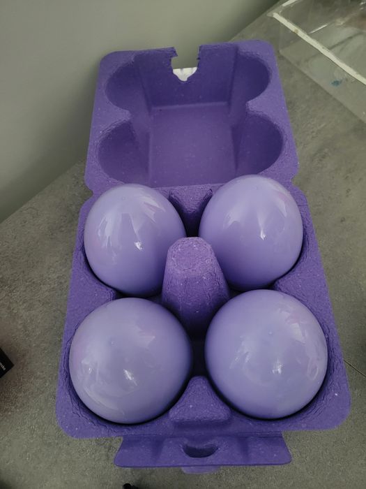 Puste pudełko (wytłaczanka i jajka) po Fluff Faces Egg Hunt