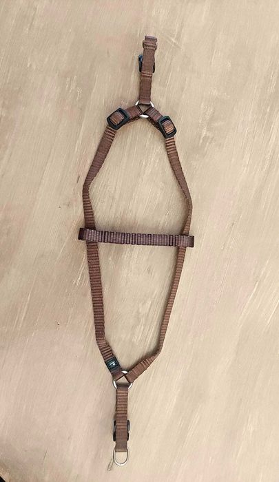 Trela e Arnês/Coleira