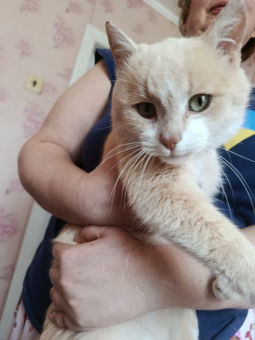 БЕНЯ шукає новий дім
