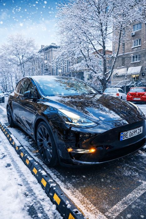 Tesla Model Y Performance 82kW