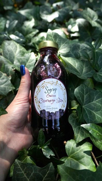 Syrop z owoców Czarnego bzu, Sambucus nigra, Dzikiego bzu
