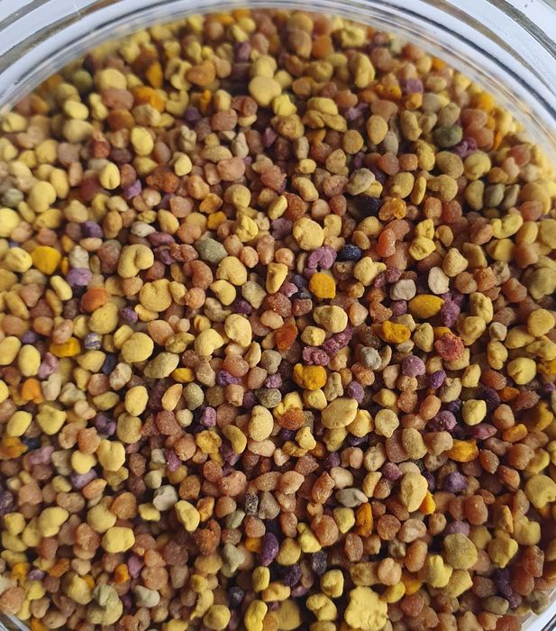 Pyłek pszczeli kwiatowy prosto z pasieki