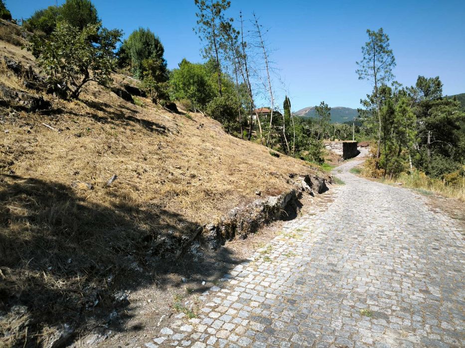 Terreno para venda(construção), em Sanche, com 2736m2