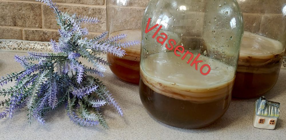 ЧАЙНИЙ гриб як в дитинстві -КОМБУЧА.