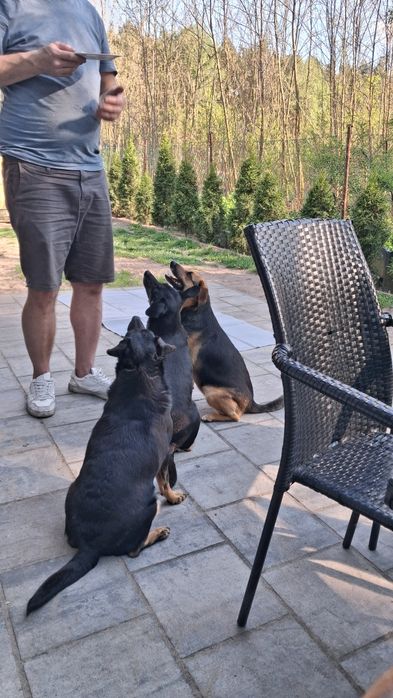 Oddamy w dobre ręce