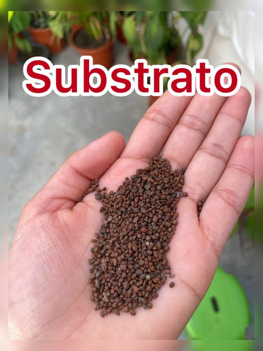 Aquário 72 litros