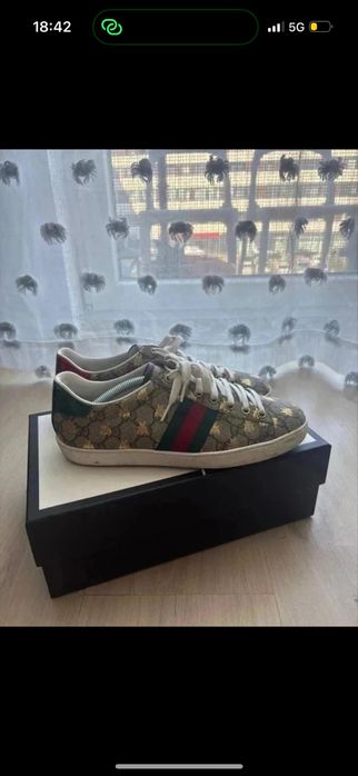 Tranpki gucci ace
