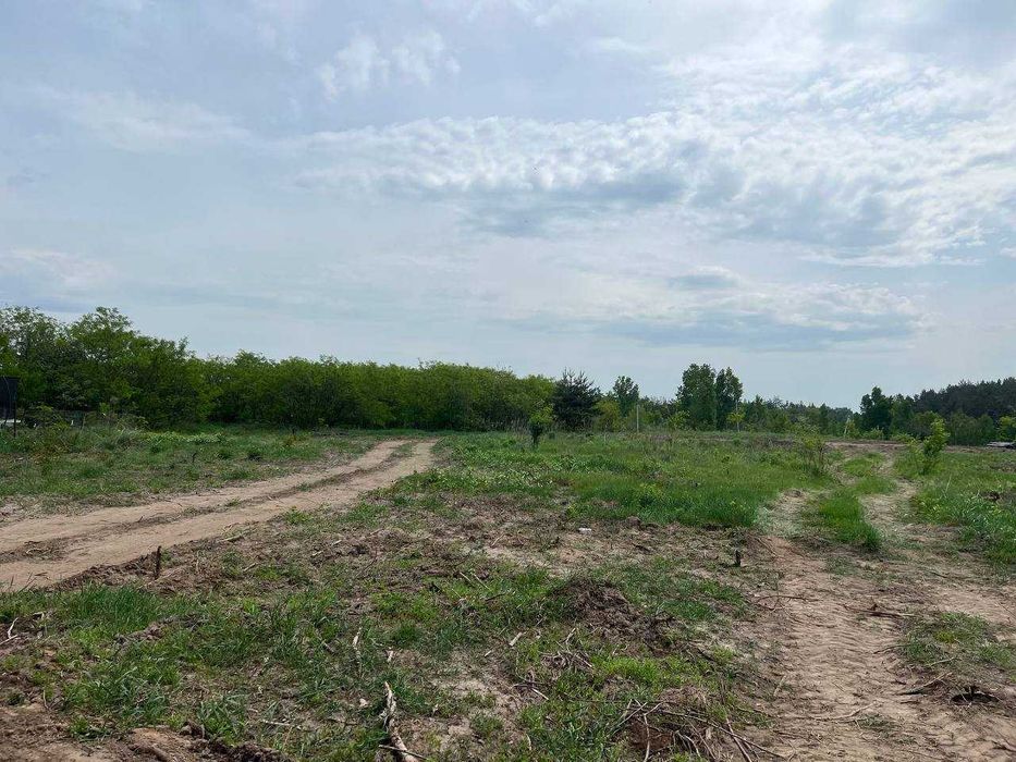 Краєвид, ліс і тиша. Ділянки під забудову