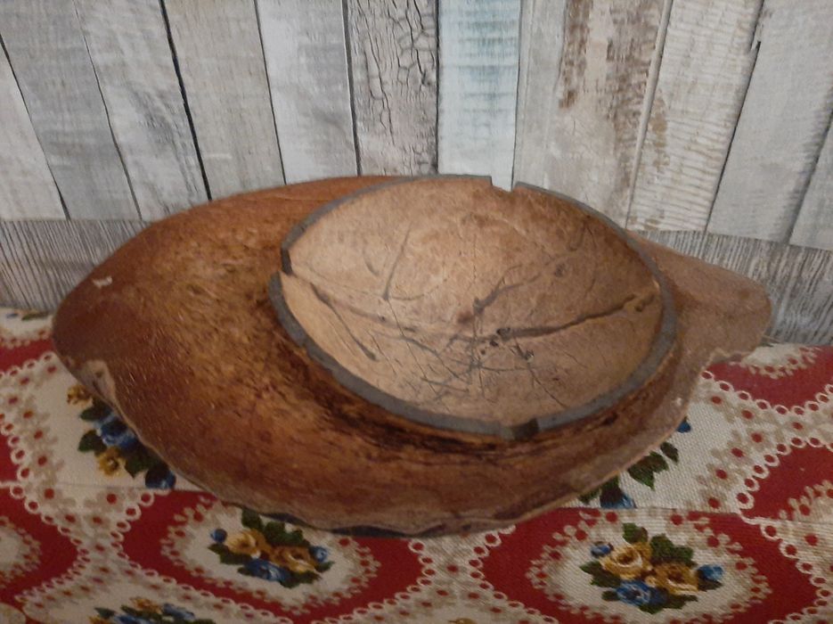 Coco (metade) Cinzeiro