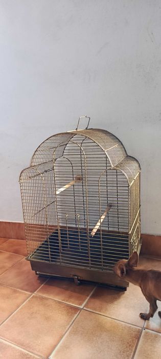 Gaiola grande bonita