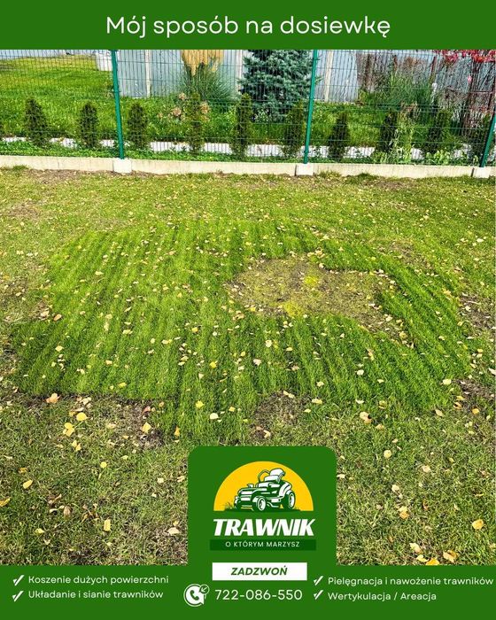 Pielęgnacja trawnika: aeracja, wertykulacja, przycinanie krzewów