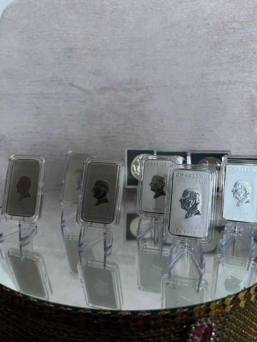 Австралійський дракон 2024-2025