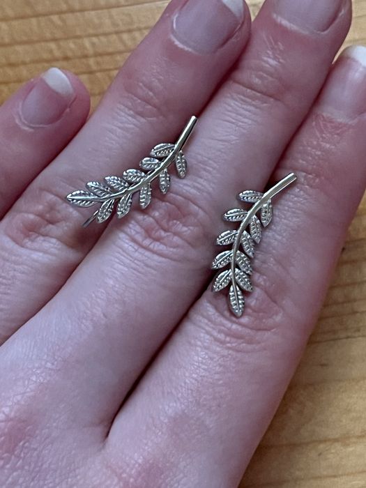 Срібні сережки гілочки