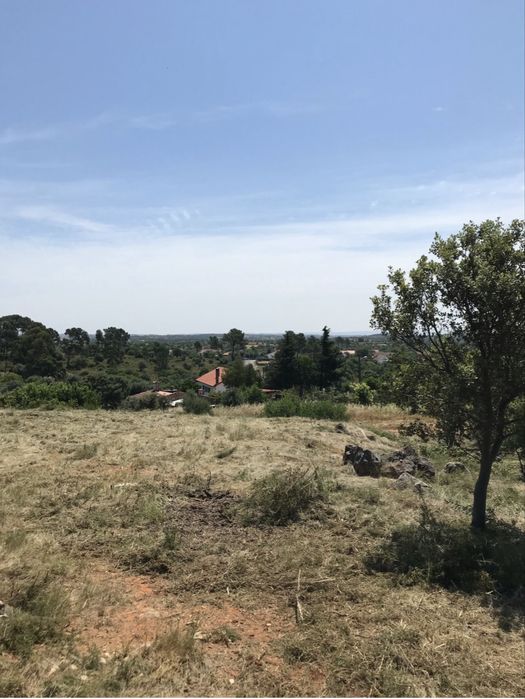 Terreno Rustico - Pedrogao - Serra de Aire e candeeiros