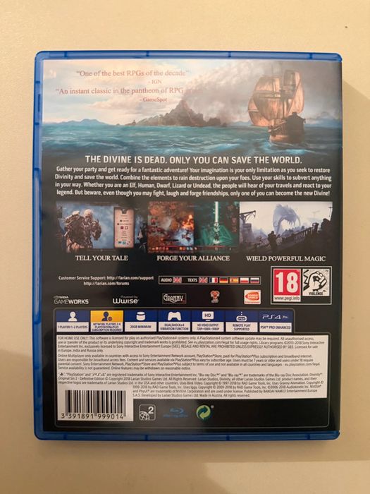 Divinity Original Sin 2 (PL) ps4 ps5