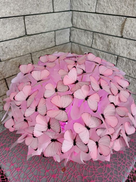 Композиція із метеликів!!