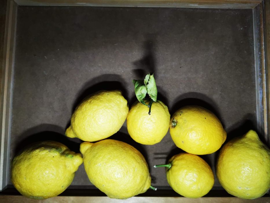 Limões  Caseiros