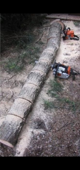 Wycinka Drzew, pielęgnacja, koszenie