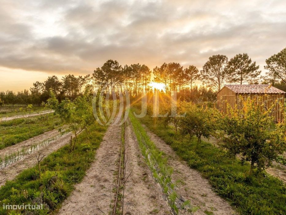 Apartamento T0 no Craveiral Farm House, Odemira, Alentejo