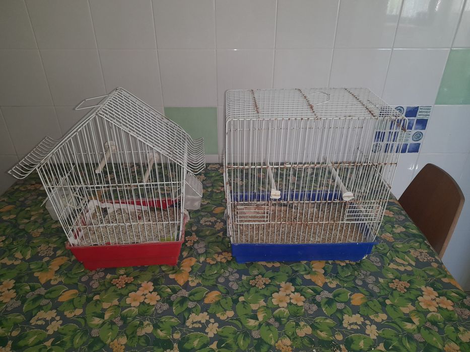Gaiolas pássaros