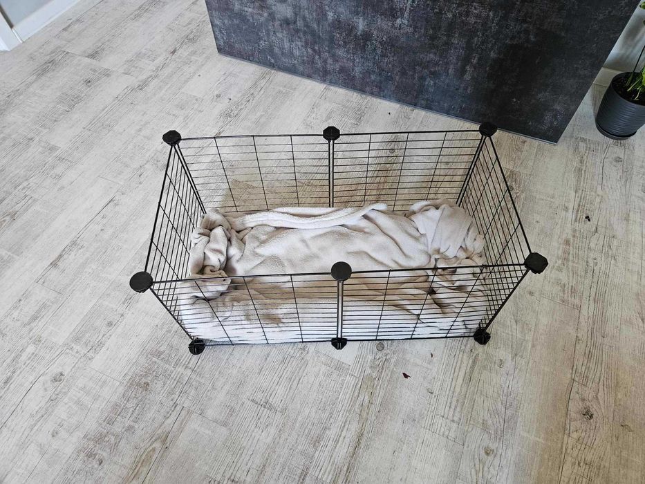 Klatka kojec wybieg dla świnki królika zwierząt modułowy