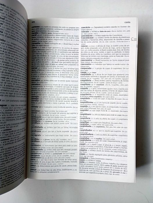 Dicionário da Lingua Portuguesa 2008