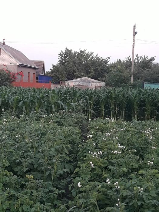Продаж земельної  ділянки  під забудову в с. Слобода, пров. Садовий