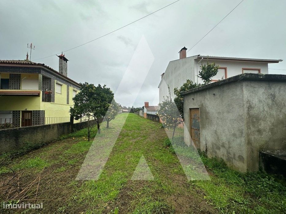 Terreno na Catraia de Assequins — Águeda E Borralha, Aveiro