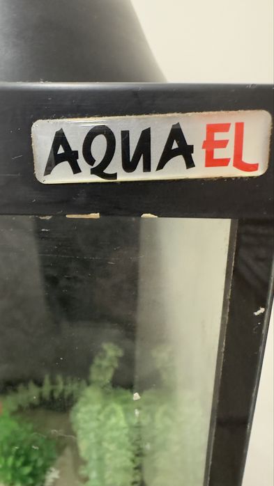 Aquario 100L com decoração e armario