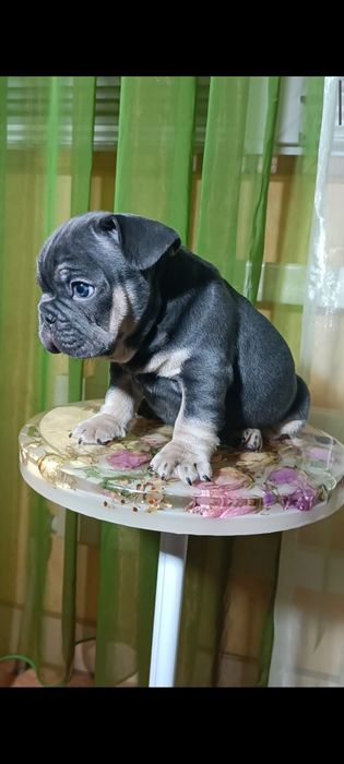 Мальчик голубой подпал