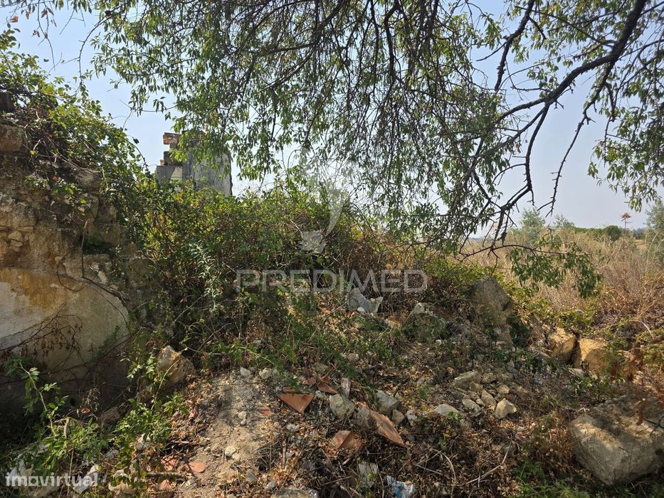 Terreno com Ruína para Reconstrução, Casével – Santarém