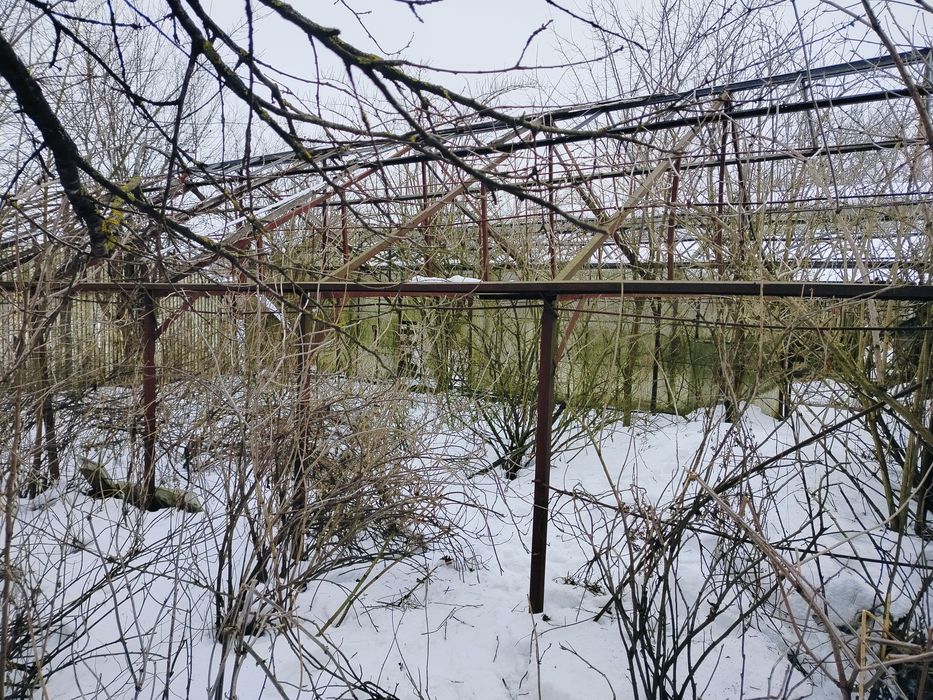 Теплиця саморобна