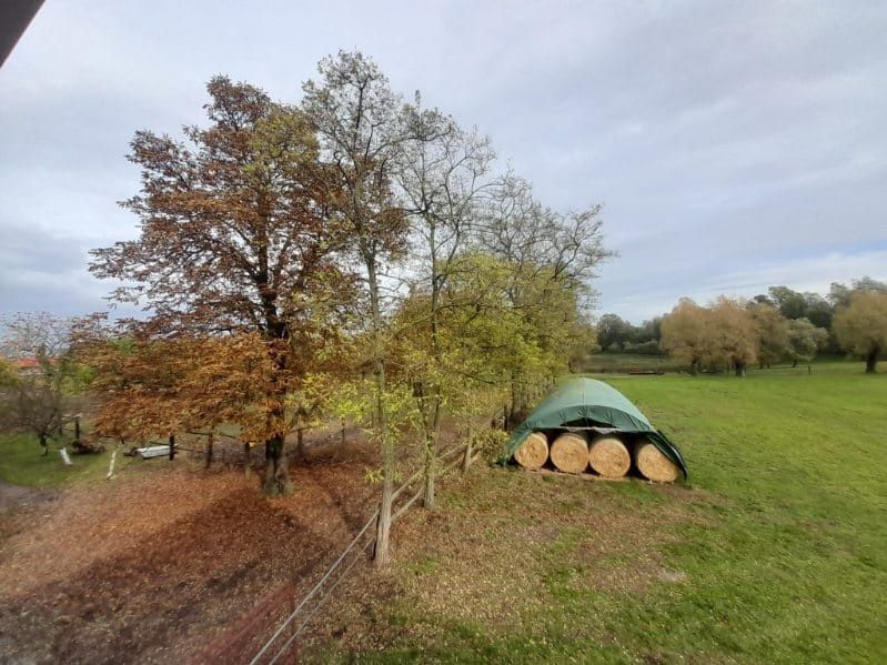 Sprzedam Słomę owsiana