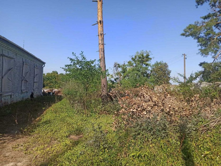 Продаж Комерційного приміщення з унікальним потенціалом! HH