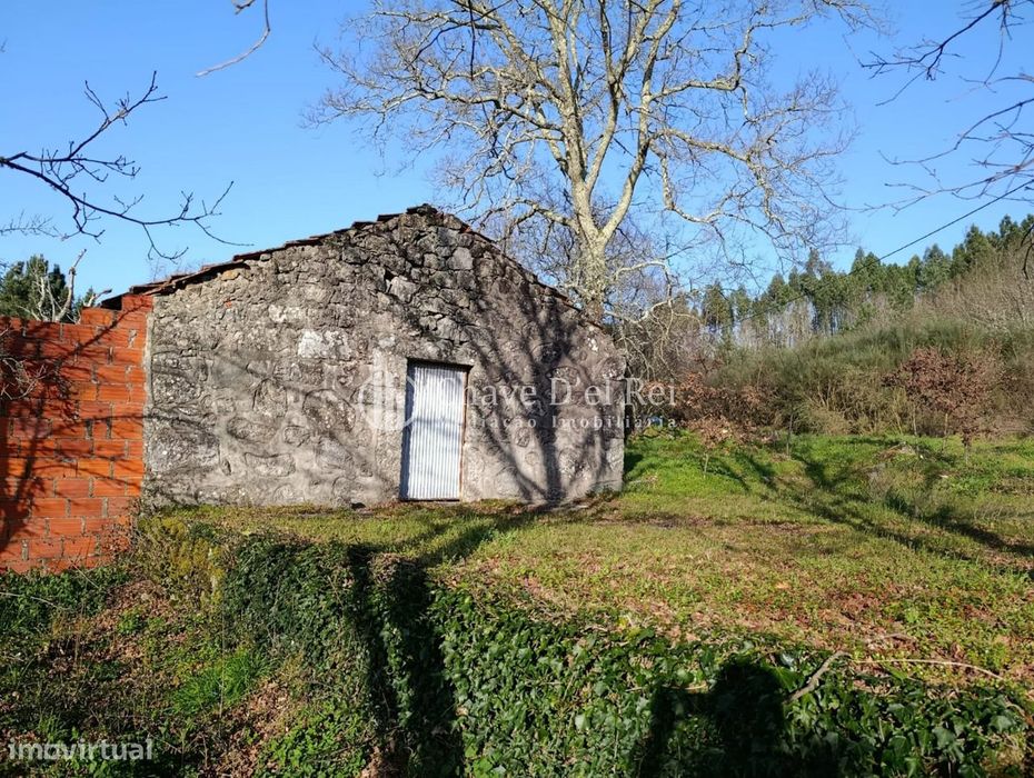 Terreno  Venda em Couto de Baixo e Couto de Cima,Viseu