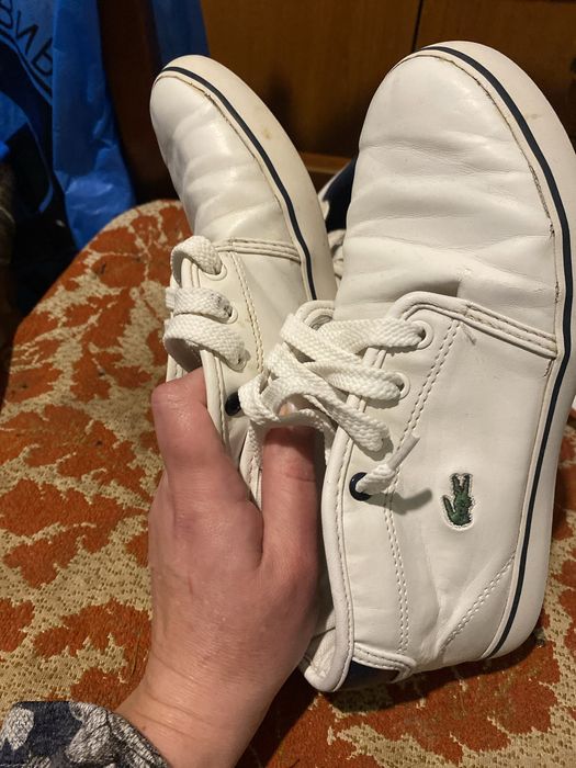 Кросівки lacoste  оригінал