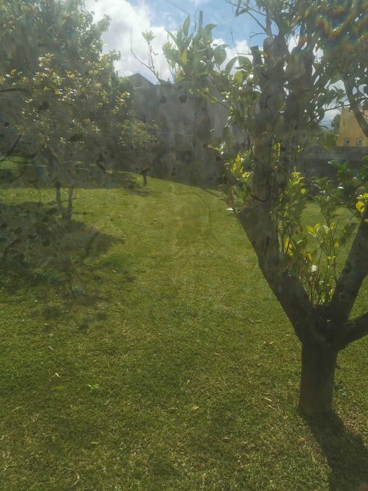Natureza activa Trabalhos de limpeza e jardinagem