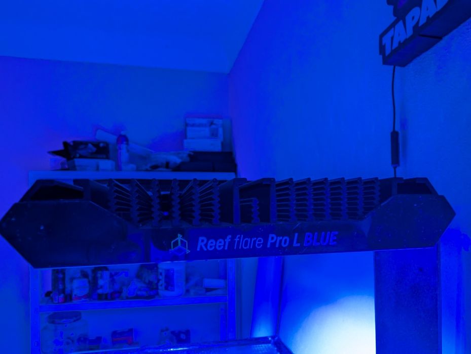 Iluminação aquario água salgada