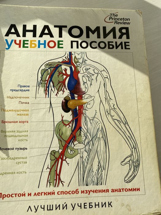 Эдуард Алкамо. АНАТОМИЯ. Лучший учебник