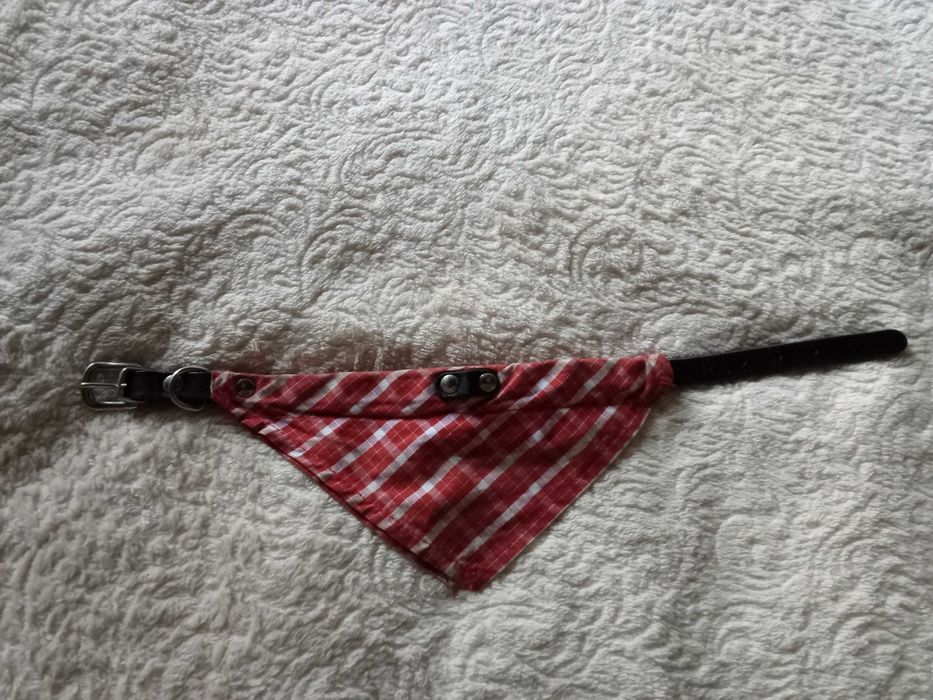 Ошейник светящийся