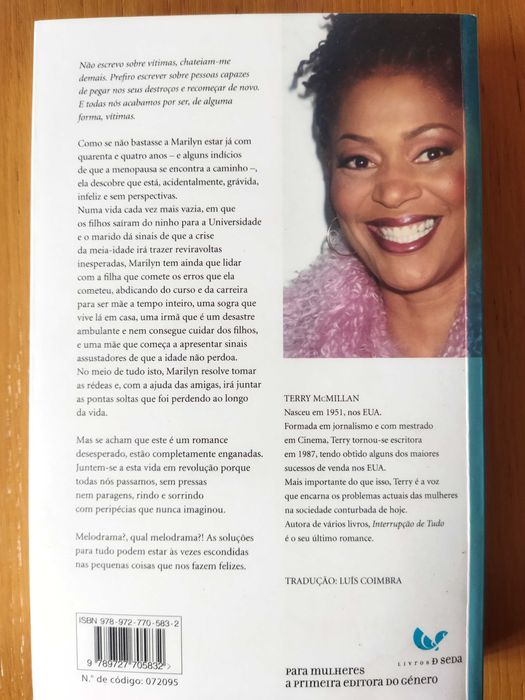 Livro A Interrupção de Tudo de Terry McMillan