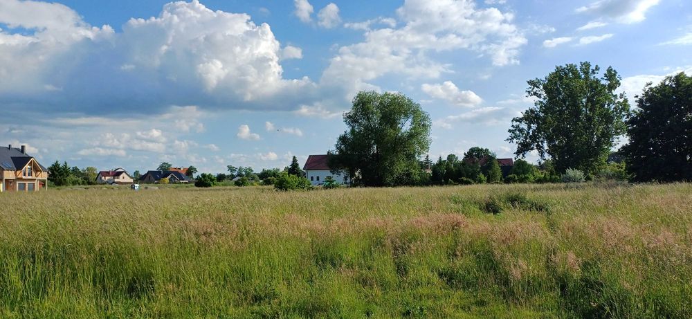Działka Budowlana ul. Pątnowska Legnica - Widok 5