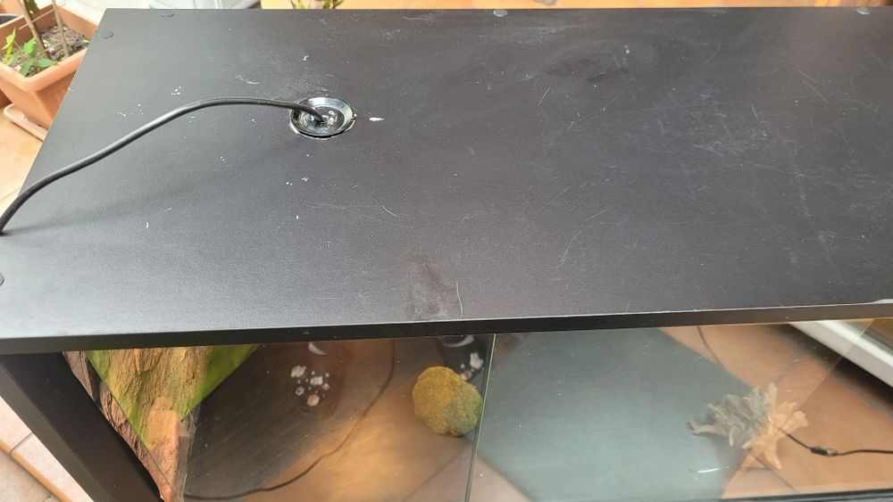 Terrarium 120x40