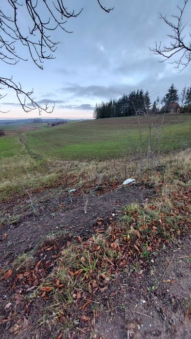 Działka budowlana Muntowo k/Mrągowa Pełkowo • OLX.pl