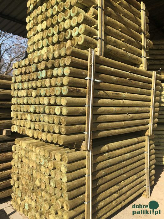 Palik, Palisada, Palik drewniany, Palisada drewniana, fi10 fi12